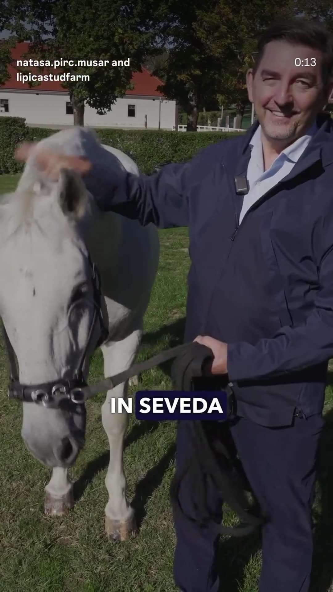 A story reshares a reel from the Slovenian president's account showing the partner programme of the Arraiolos meeting. Guests visit the Lipica Stud Farm, see Lipizzaner horses and go down into the Vilenica cave.