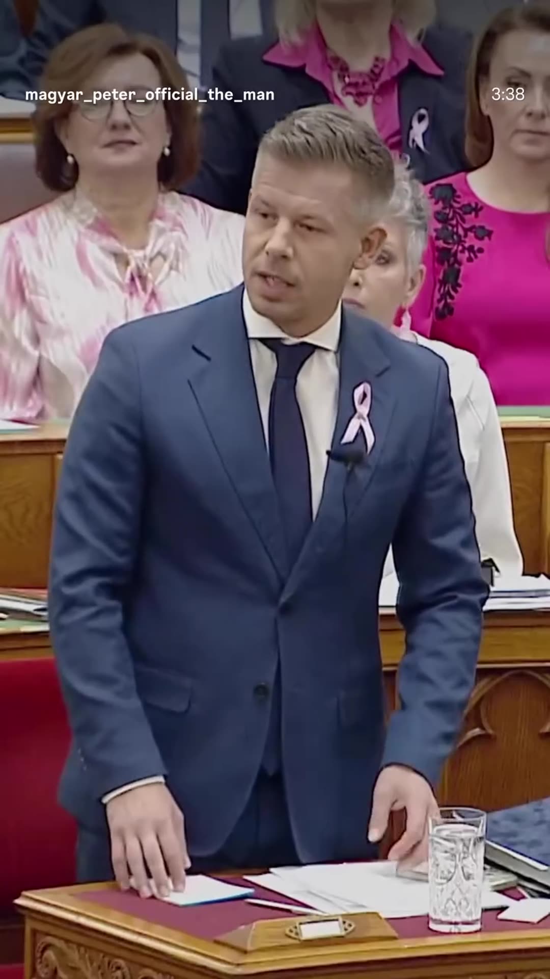 A story reshares a Péter Magyar reel in which he answers an opposition MP in the Hungarian parliament, mocking his economic credentials and listing criticisms of the previous government's record on investment, inflation, deficit, jobs and fuel prices. The story shows a short 5-second clip, while th…