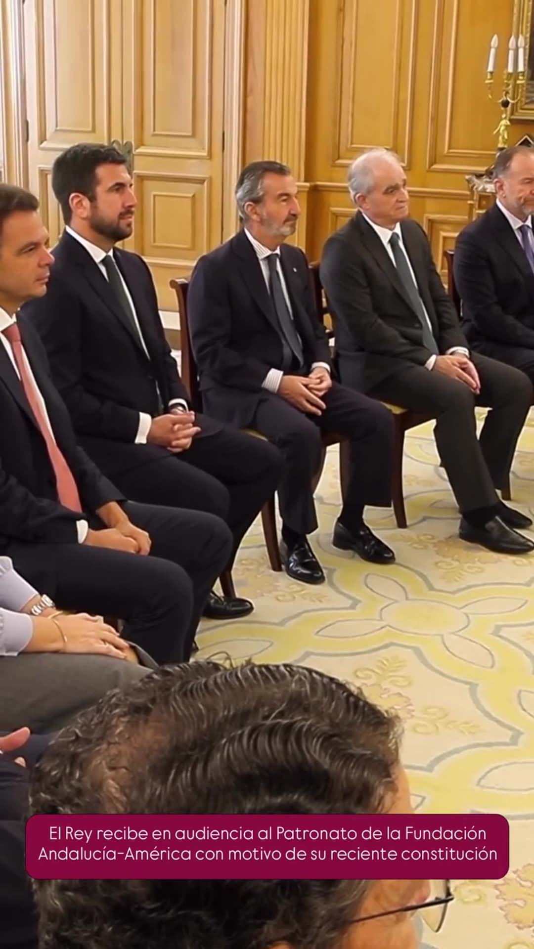 A story reshares a Casa Real video of the King of Spain receiving the board of trustees of the Fundación Andalucía-América, recently constituted, in an audience. It shows a group photo on outdoor steps and then the meeting in a formal salon.